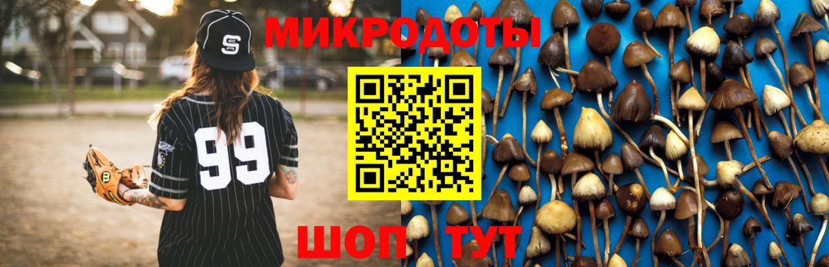Псилоцибиновые грибы прущие грибы Коммунар